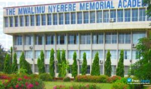 Mwalimu Nyerere Memorial Academy 