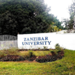 zanzibar university