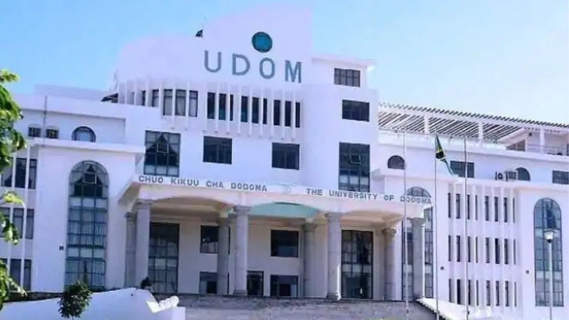 UDOM Bachelor Courses.