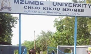 Mzumbe University